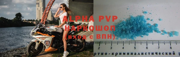 spice Карпинск