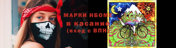 гидра Касимов