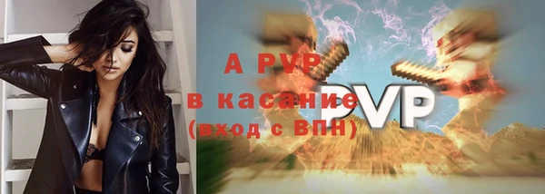 стафф Кинешма