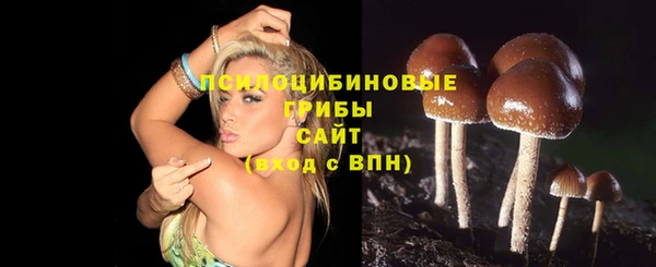 стафф Кинешма