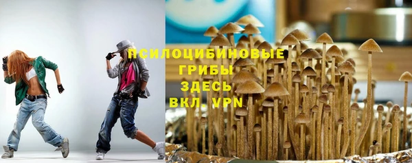 гидра Касимов