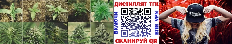 ТГК вейп с тгк  Кириллов 