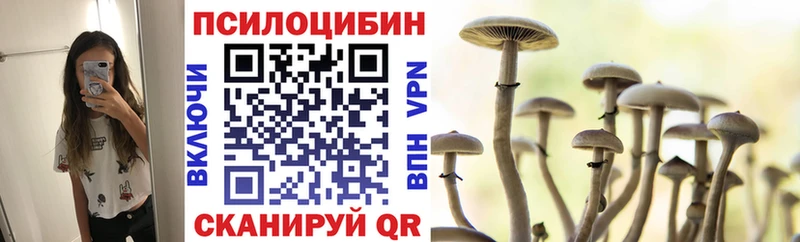 кракен вход  Кириллов  Псилоцибиновые грибы Psilocybe 